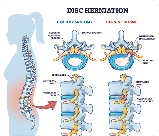 spine surgeon in amritsar