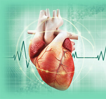 best cardiologist in amritsar