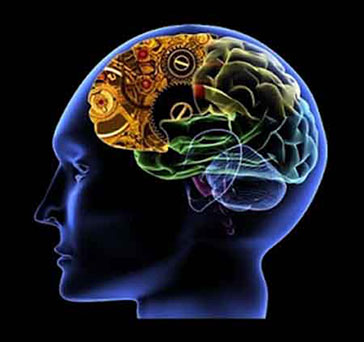 best neurologist in amritsar